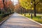 well-paved walking pathways in a public park