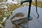 Well with polished sleek stone lid. from a hand pump water flows into a stone trough with a gutter. pure stone production. custom