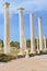 Well preserved ruins of ancient Greek city Salamis near Famagusta in Northern Cyprus. The Corinthian columns were part of Salamis