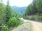 A well-traveled path near Kellogg, Idaho gently curves between green pine-covered mountainsides