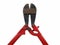 Well Used Bolt Cutter