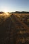 Well used, Dusty desert road to nowhere. Southern Namibia. Mountain scenery surrounding. Golden afternoon light. Vertical image.