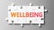 Wellbeing complex like a puzzle - pictured as word Wellbeing on a puzzle pieces to show that Wellbeing can be difficult and needs