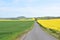 Welling, Germany - 05 09 2021: dirt road between green and yellow blooming fields
