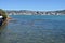 Wellington Harbour & City Vertical Early Morning Panorama