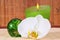 Wellness candle green Orchid Flower