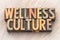 Wellness culture - word abstract in wood type