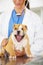 Wellness, hands of doctor or dog in vet for animal healthcare check up consultation for nursing. Nurse, veterinary