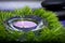 Wellness Relax concept with Spa elements. Rolled up White Towels, Basalt Stones, Lavender Tea Light Candle and Dianthus Flowers on