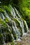 Wellspring and cascade at Tara mountain and national park