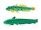 Wels Catfish Green Fish Set Vector Illustration