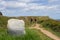 Welsh coast path sign