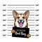 Welsh Corgi criminal. Arrest photo. Mugshot photo. Police placard, Police mugshot, lineup dog prisoner. Photo offender Vector