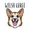Welsh Corgi face. Dog portrait. Corgi dog breed. Vector.