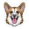 Welsh Corgi head. Smiling dog. Corgli muzzle, face. Dog breed. Vector.