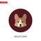 Welsh corgi head vector flat icon on turquoise circular background.