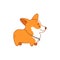 Welsh corgi illustration. Cute dog character. Vector