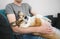 Welsh corgi pembroke dog being cuddled by the owner on the sofa