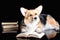 Welsh Corgi Pembroke reads a book, isolated on black