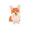 Welsh Corgi smiling cartoon illustration. Funny dog colored flat vector on white background. Cheerful puppy laying down