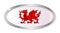 Welsh Dragon Oval Button