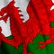 Welsh Flag Closeup