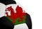 Welsh Flag - Football