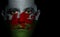 Welsh Flag - Male Face