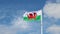 Welsh Flag in the wind