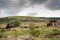 Welsh landscape with industrial relics