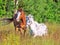 Welsh pony and mini Appaloosa in the field