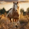 Welsh pony running and standing in high grass in sunset light, long mane, brown horse. generative ai