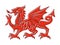 Welsh red Dragon on white background, Vector illustration of Fantasy Monster illustrated on national flag on Wales.