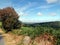 Welsh Roadside Mountain View Landscape