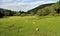 An Welsh Rural Landscape with Grazing Sheep