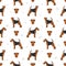 Welsh terrier seamless pattern. Different poses, coat colors set