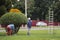 Weman cuts bushes with scissors in city park. Workers trimming and landscaping green bushes