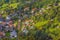 Wengen, Switzerland town aerial autumn view