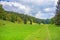 Wental valley, meadow and forest