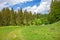 Wental valley, meadow and forest