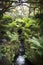 WENTWORTH, UK - June 1, 2018. Gardens with waterfall set within the grounds of Wentworth Woodhouse. Rotherham, South Yorkshire, UK