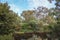 Werribee river with eucalyptus trees on riverbank