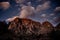 Wesstern Chisos Mountains And Clouds at Sunset