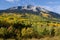 West Beckwith Peak mountain above forest of yellow, gold and green aspen trees.