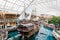 West Edmonton Mall in Alberta, Canada