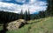 West Fork Trail, Mount Baldy Wilderness,White Mountains, Arizona