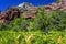 West Fork Trail at Sedona, Arizona