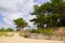 West french atlantic coast in Talmont beach with sea sandy horizon view from France