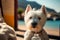 West highland white terrier on summer vacation with cocktail Generative AI