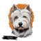 West Highland White Terrier or Westie dog breed portrait isolated on white. Digital art illustration, watercolor drawing of hand